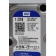 Hard Disk WD Blue 1TB for PC