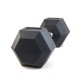 Dumbbell Hexagonal 10Kg F253