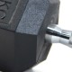 Dumbbell Hexagonal 10Kg F253