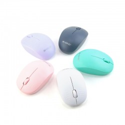 Mouse Wireless W170 R-One