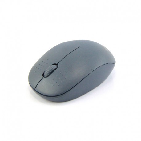 Mouse Wireless W170 R-One