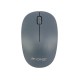 Mouse Wireless W170 R-One