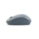 Mouse Wireless W170 R-One