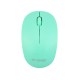 Mouse Wireless W170 R-One