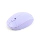 Mouse Wireless W170 R-One