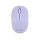 Mouse Wireless W170 R-One