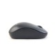 Mouse Wireless W170 R-One