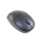 Mouse Wireless W170 R-One